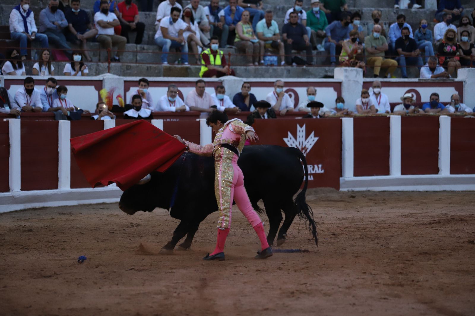 roca-rey-pablo-aguado-y-daniel-luque-en-zamora-30