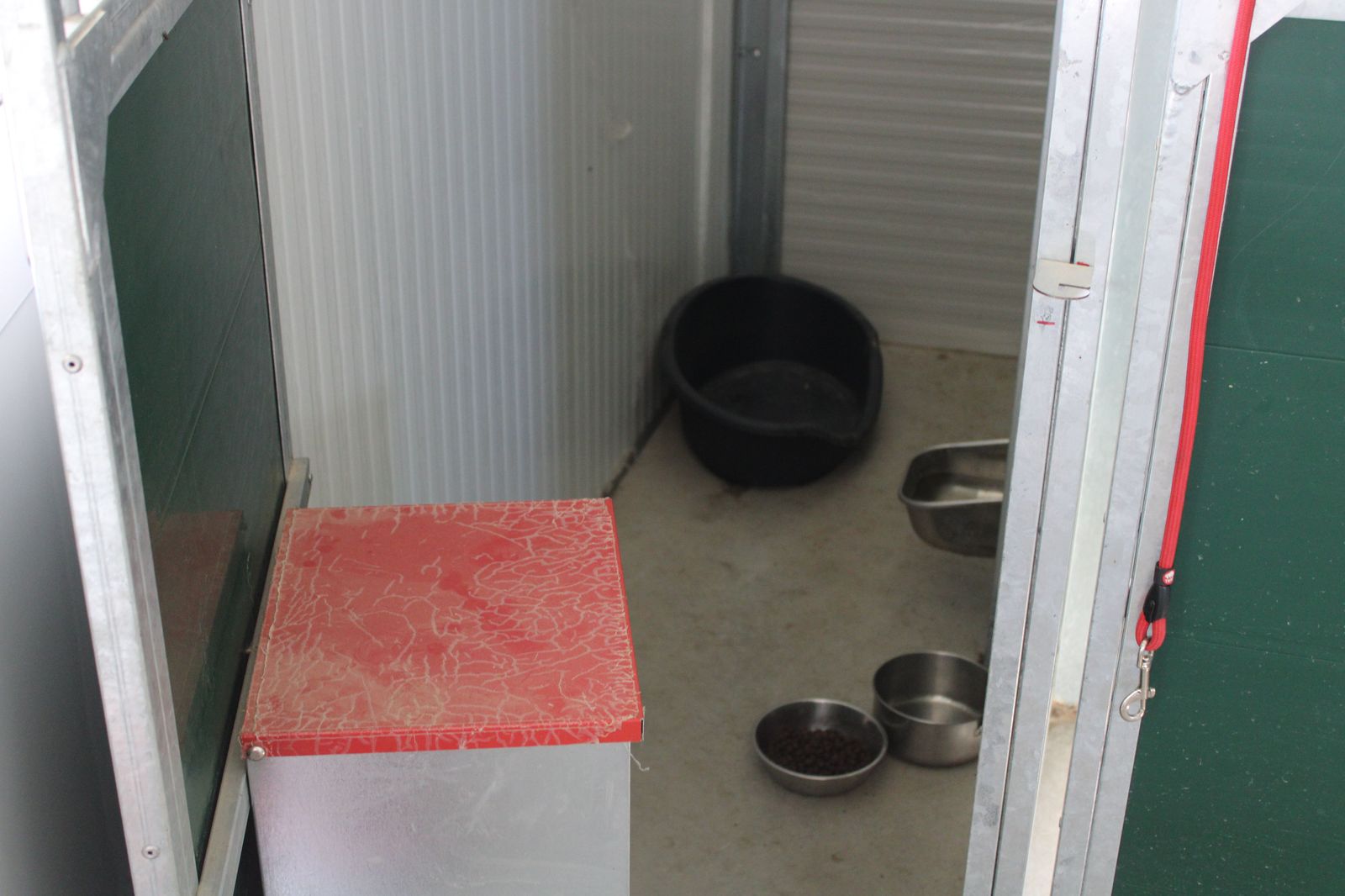 refugio-de-animales-del-ayuntamiento-de-salamanca-52