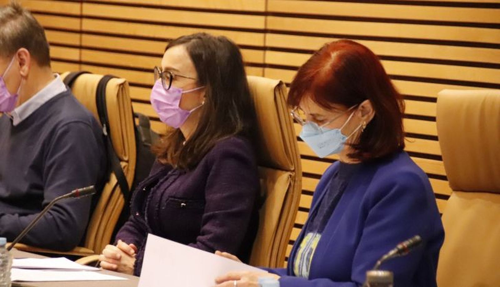 Pleno del Ayuntamiento