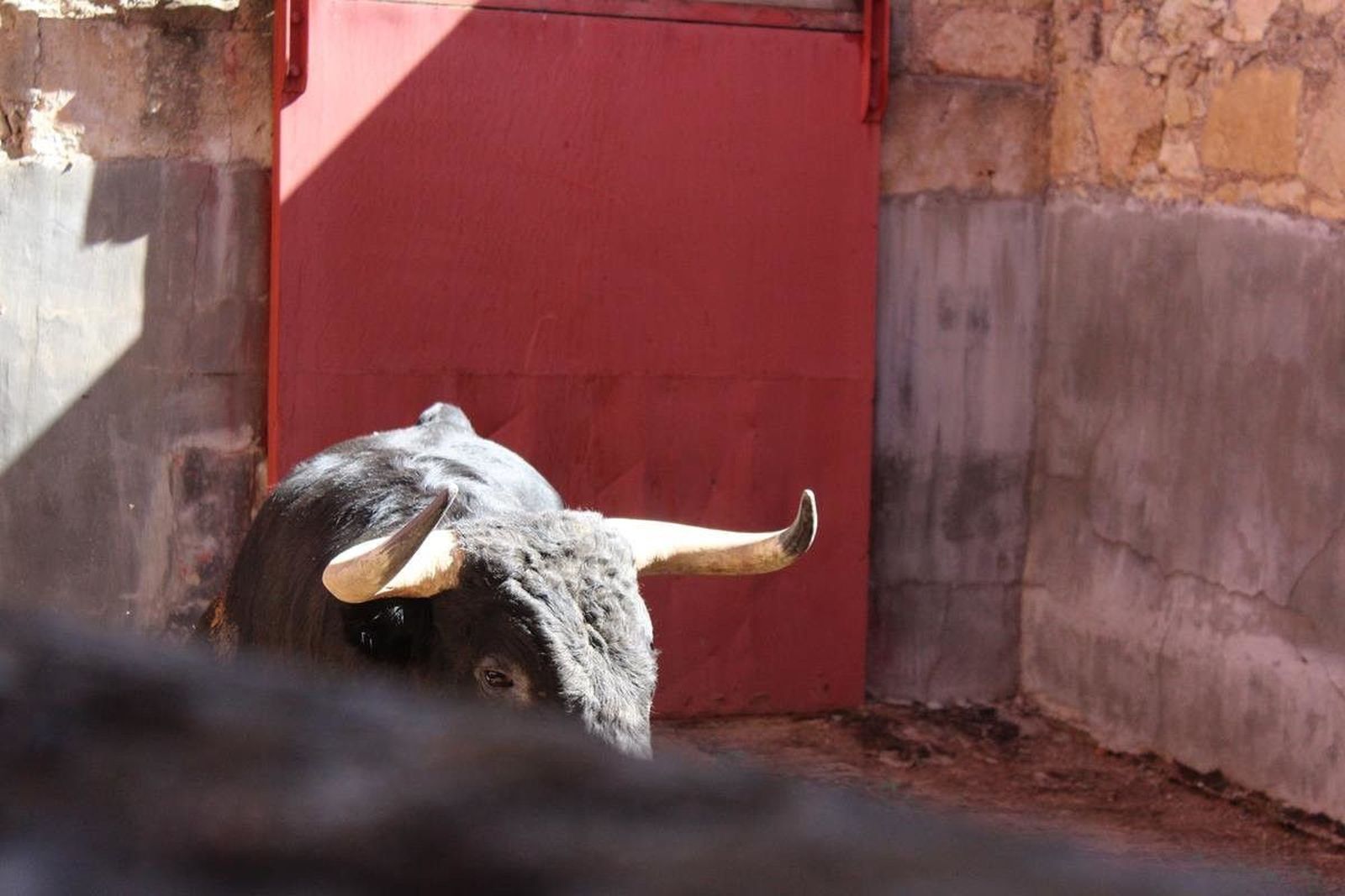 Feria Taurina 2017: Sorteo Puerto de San Lorenzo