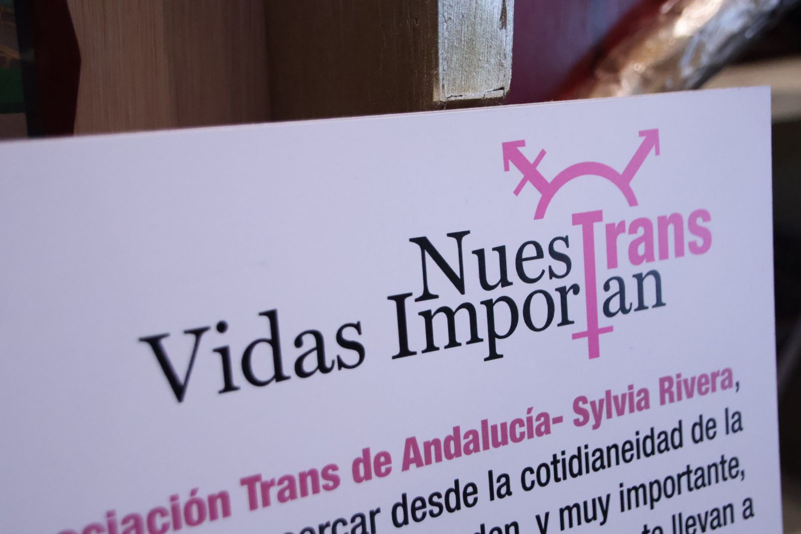 Exposición sobre la infancia de personas transexuales