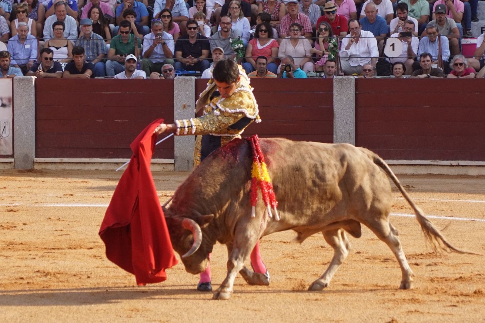 : Emilio de Justo y Diosleguarde cierran en hombros una feria de Guijuelo marcada por las despedidas de El Capea y Javier Castaño