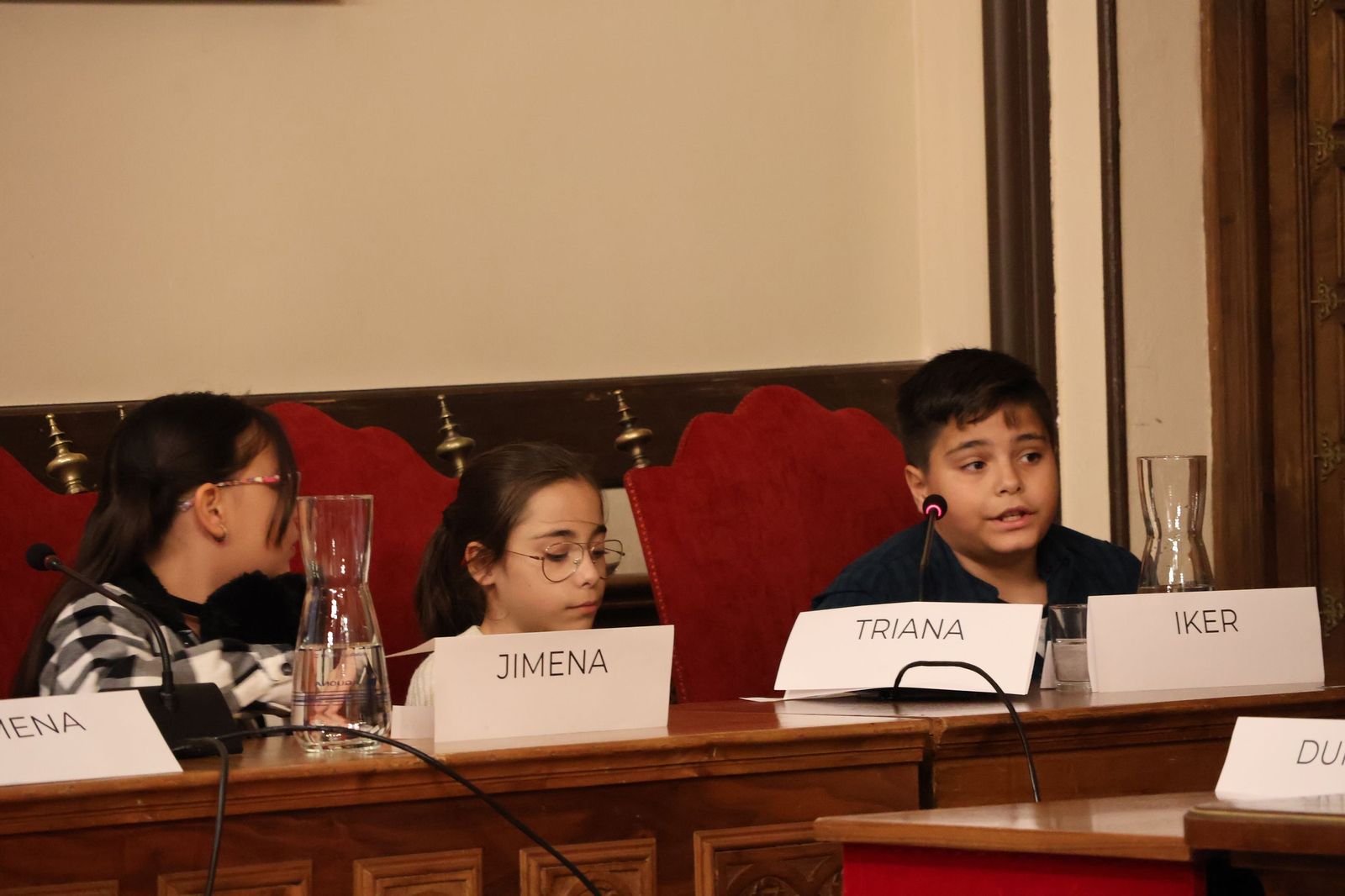 Pleno de la Infancia y la Adolescencia en el Ayuntamiento de Zamora (18).JPG