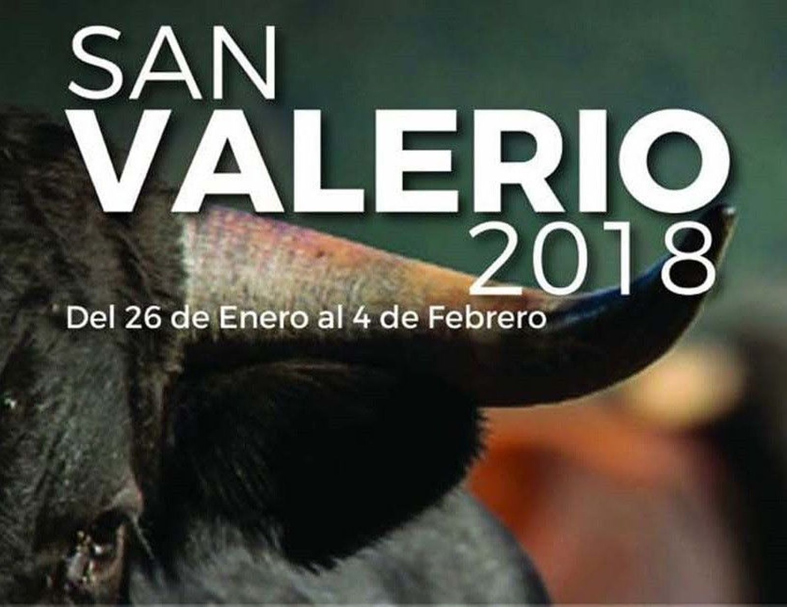 Programa valero 2018 fiestas(1)