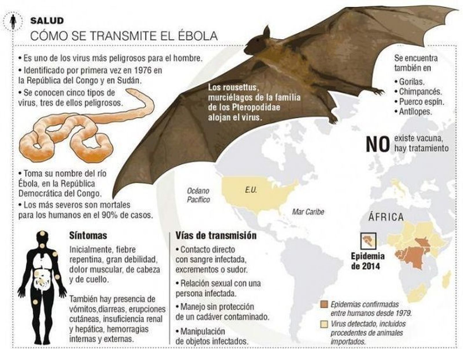 Sanidad pide prudencia tras confirmarse el primer contagio de ébola en España