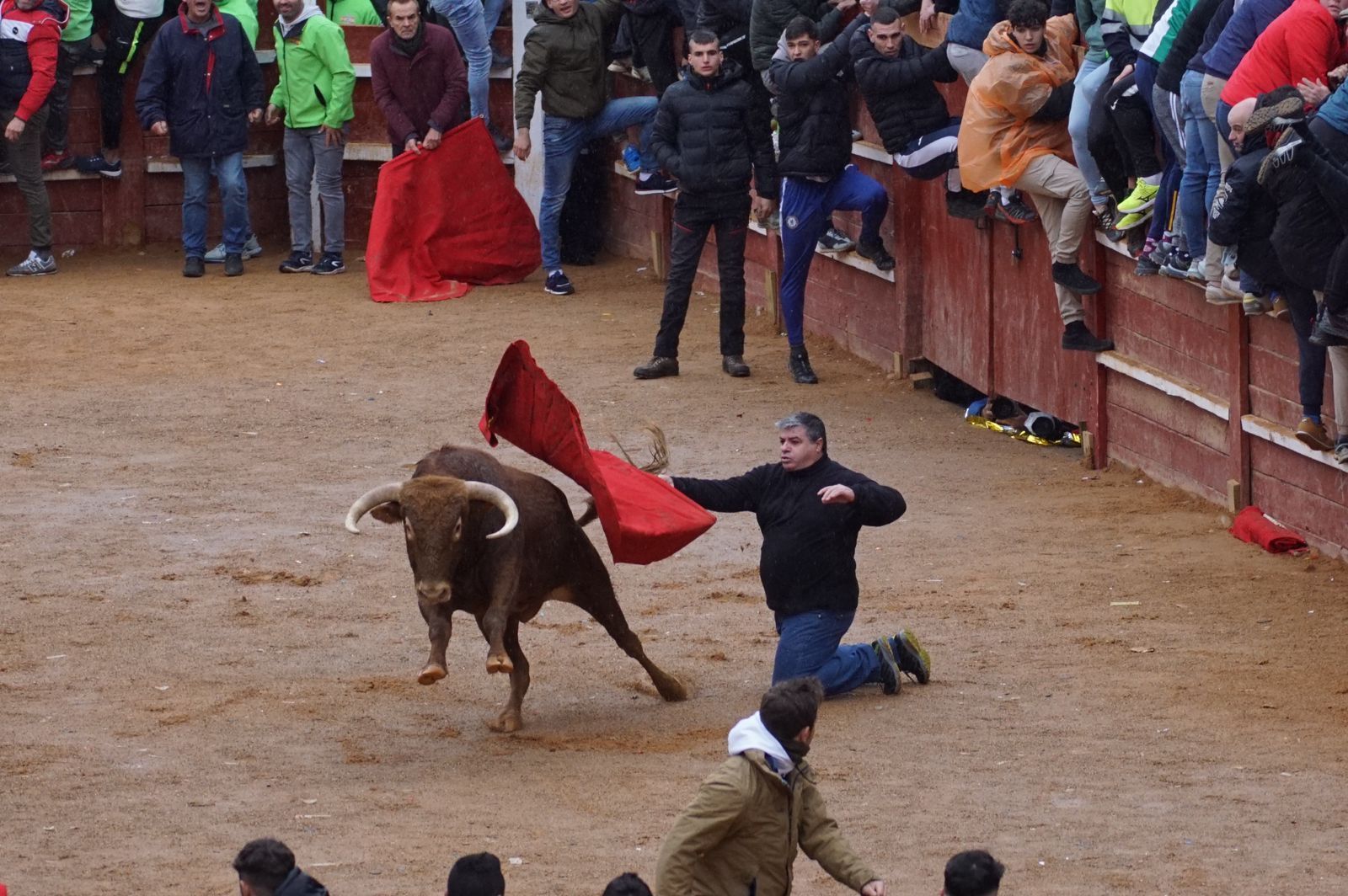 whatsapp-image-2024-02-11-at-14-02-47