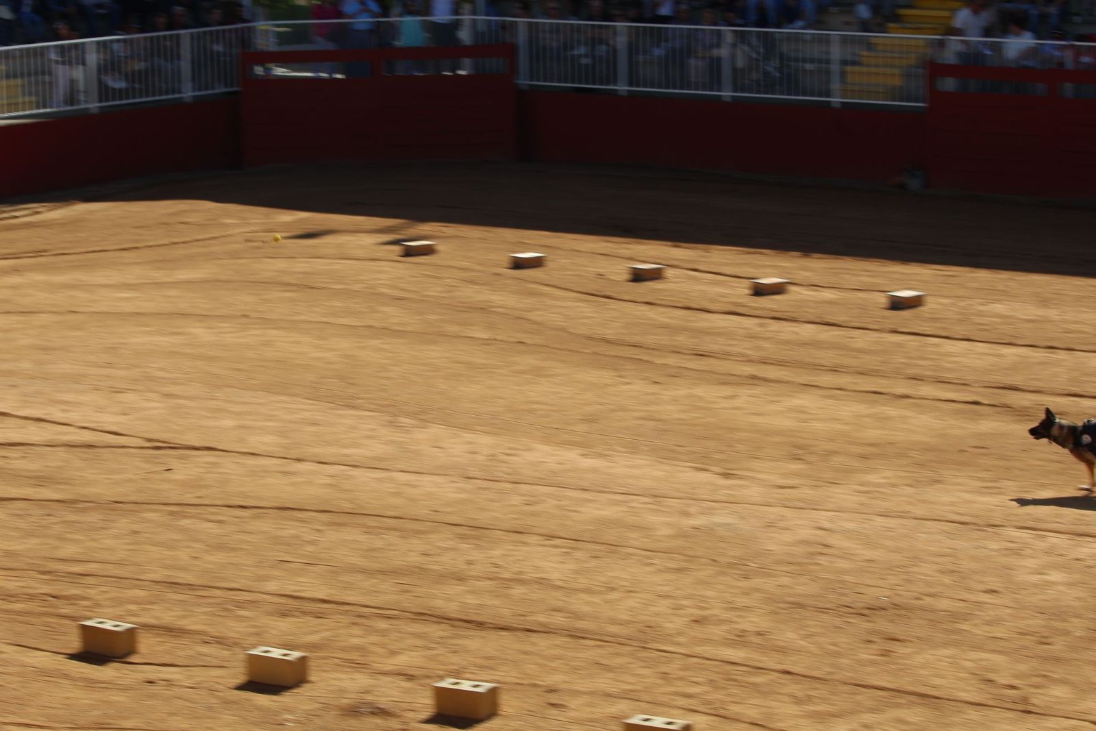 20230905122922-img-7967