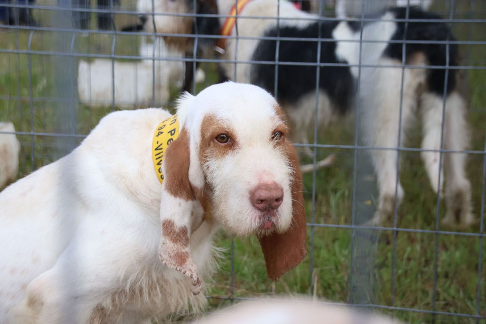 20240501103921-img-2949