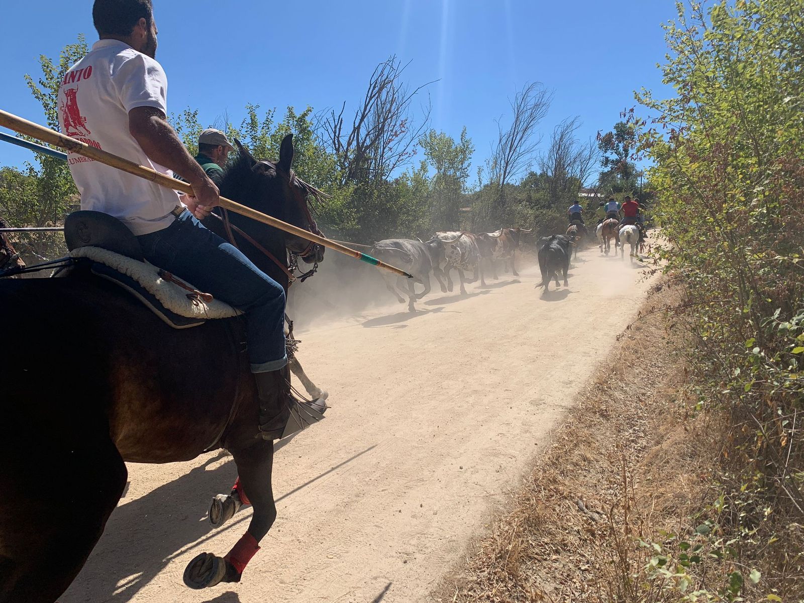 whatsapp-image-2022-08-21-at-12-55-49-pm