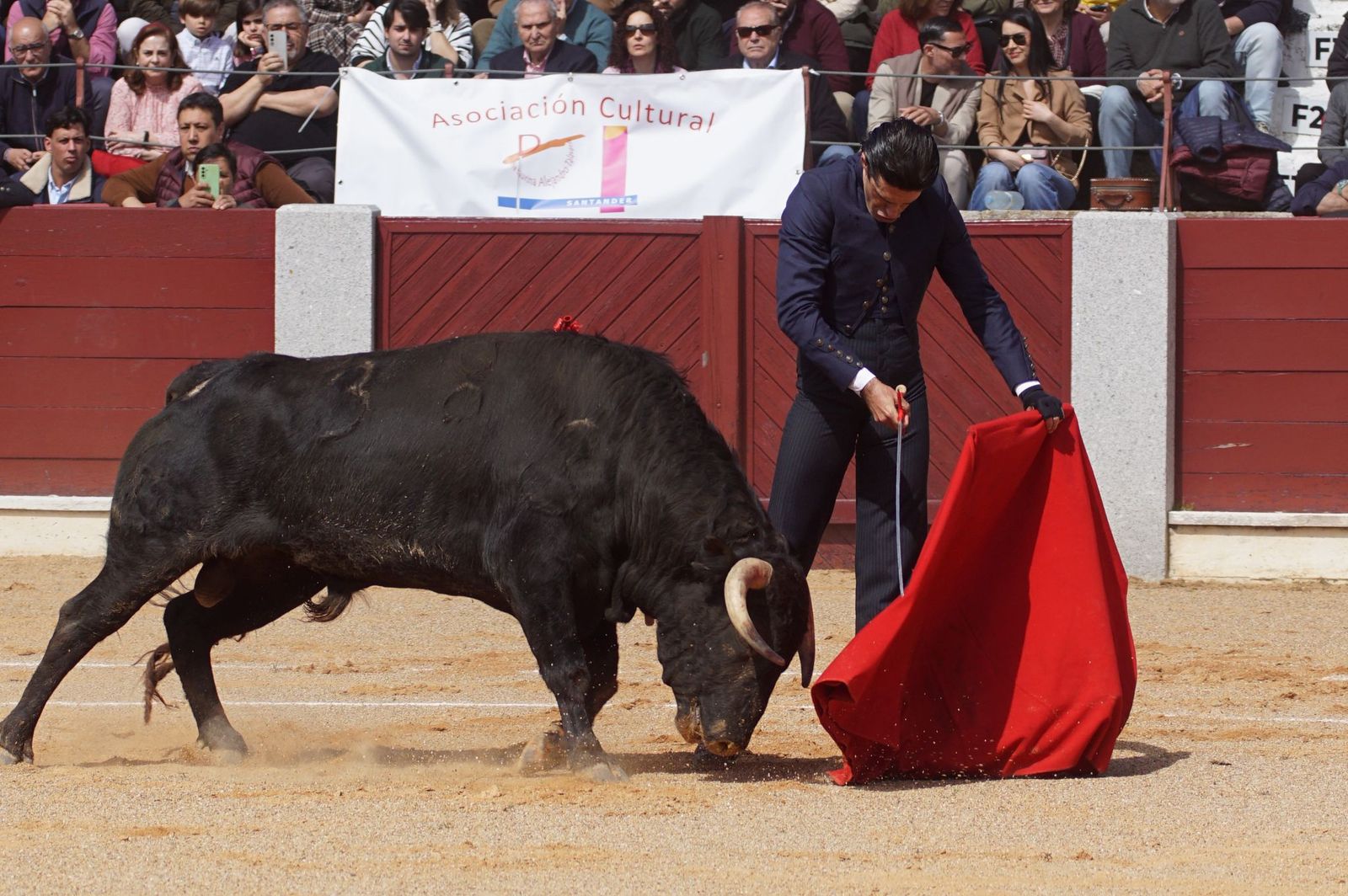 Festival taurino solidario por la esclerosis múltiple en Guijuelo