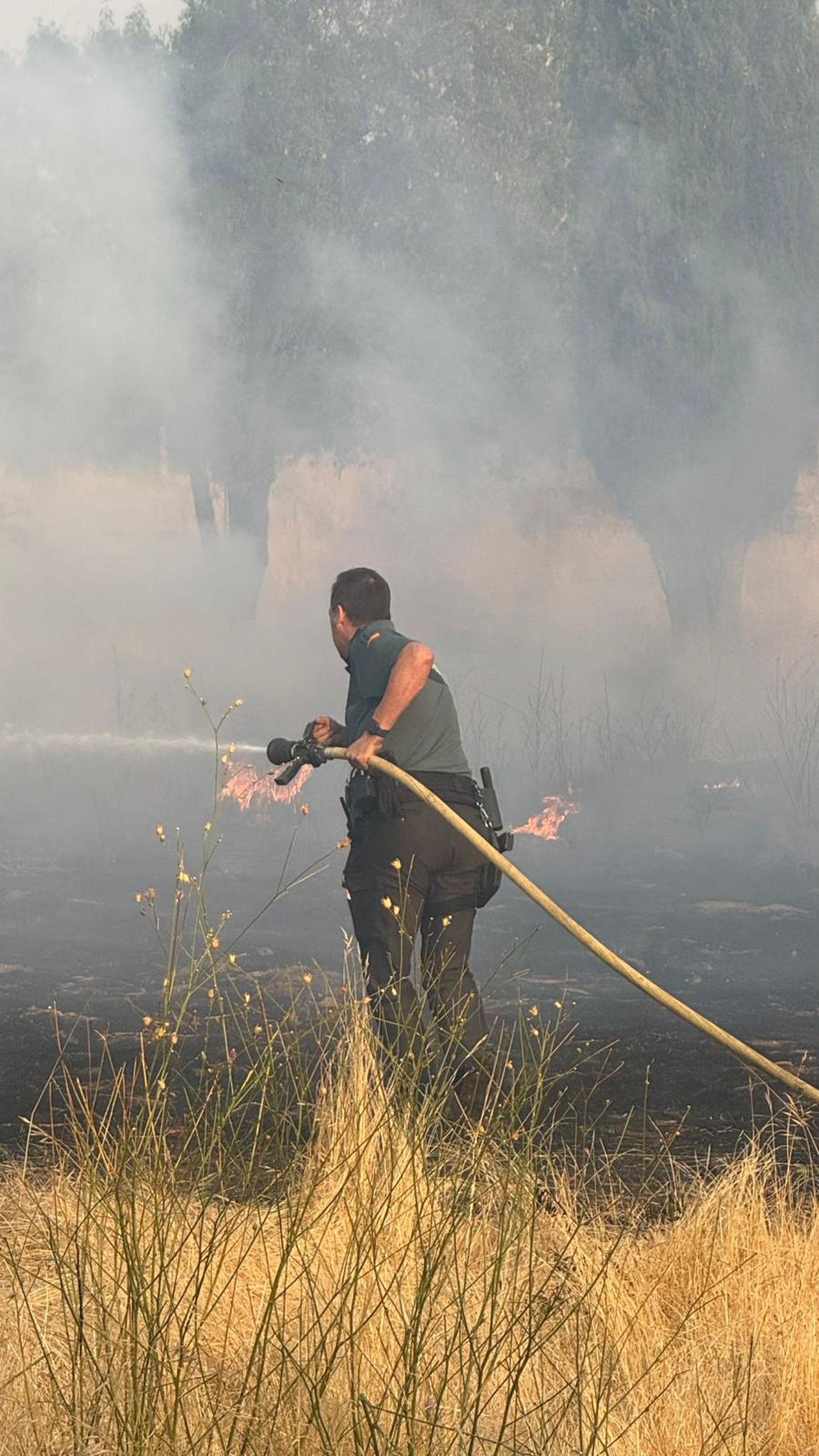 Incendio en Cabrerizos