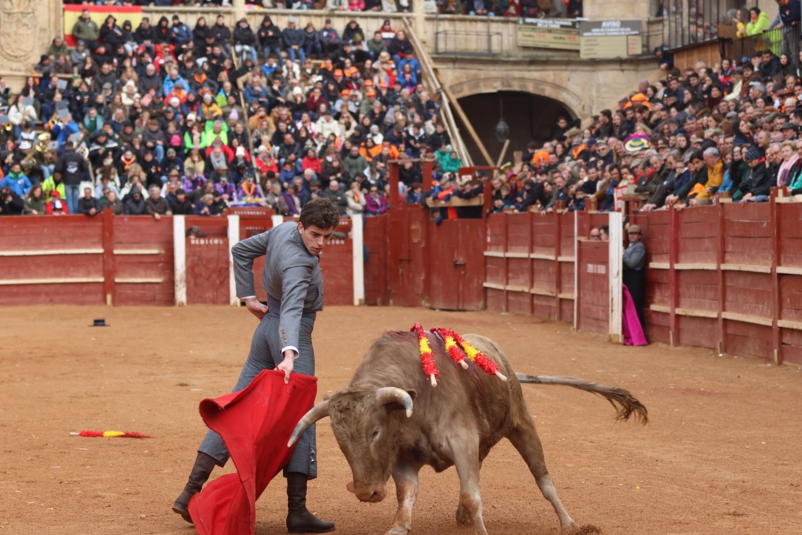 Novillada sin picadores del bolsín taurino y rejones en Ciudad Rodrigo