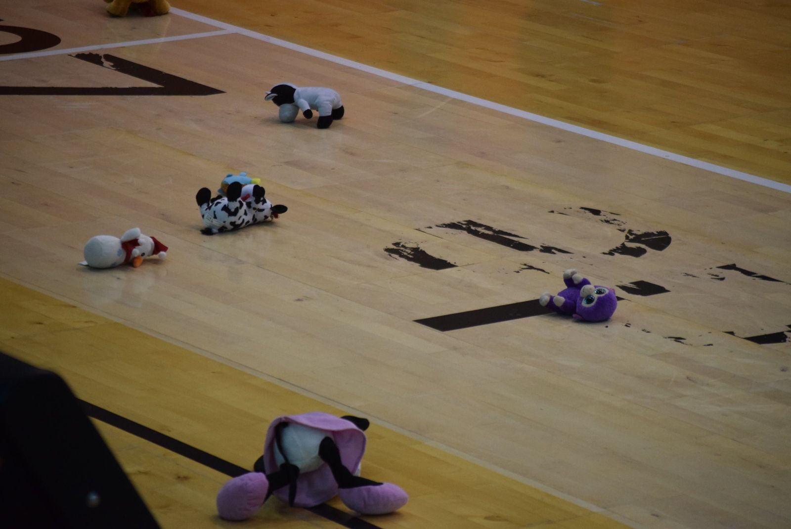 lluvia-de-peluches-en-el-angel-nieto-2023-3