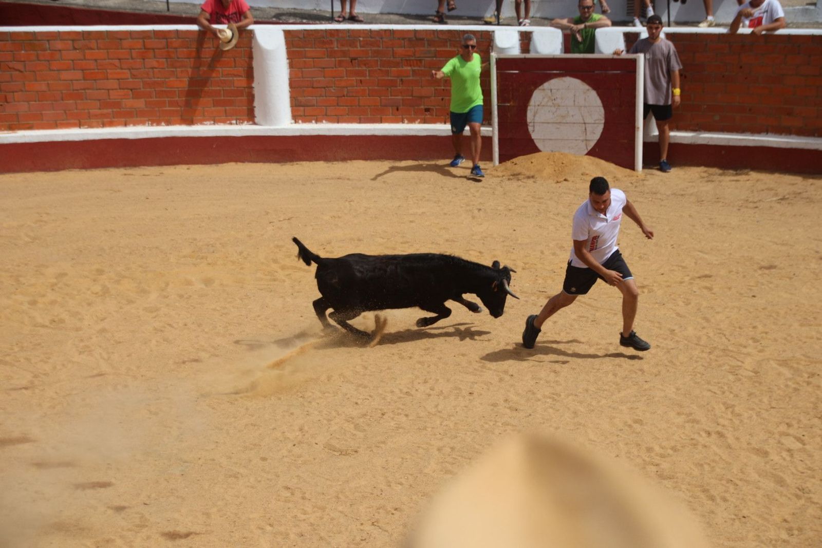 20230809115906-img-9605