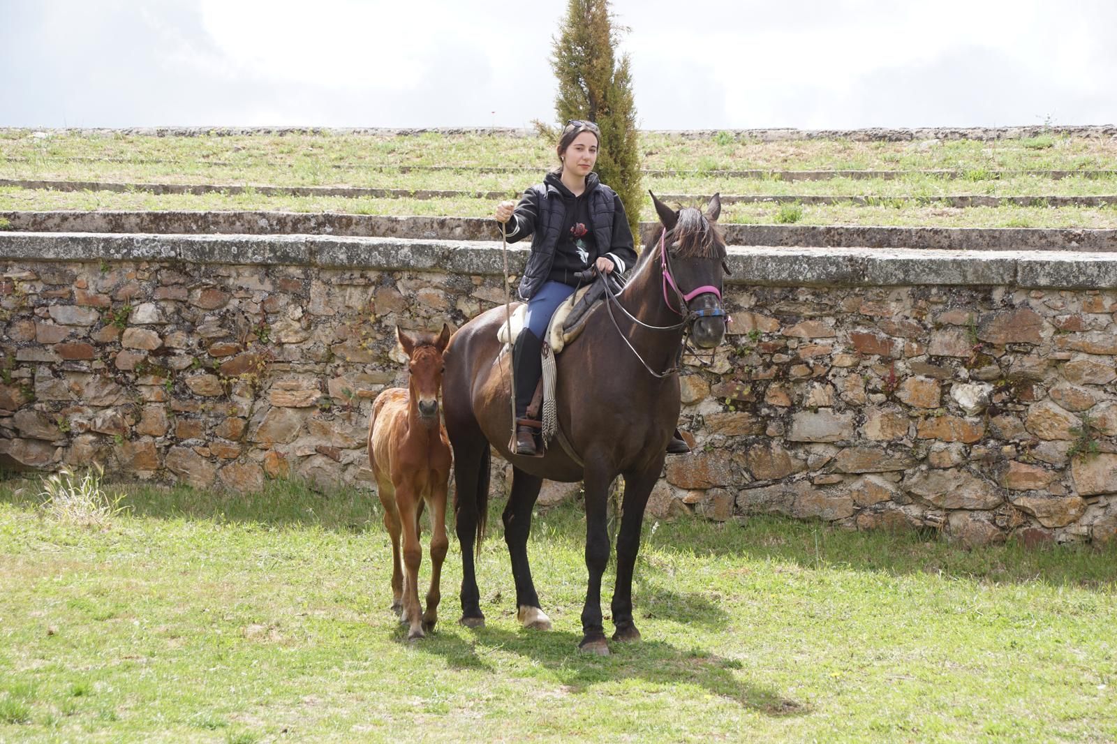 whatsapp-image-2024-05-19-at-14-19-35