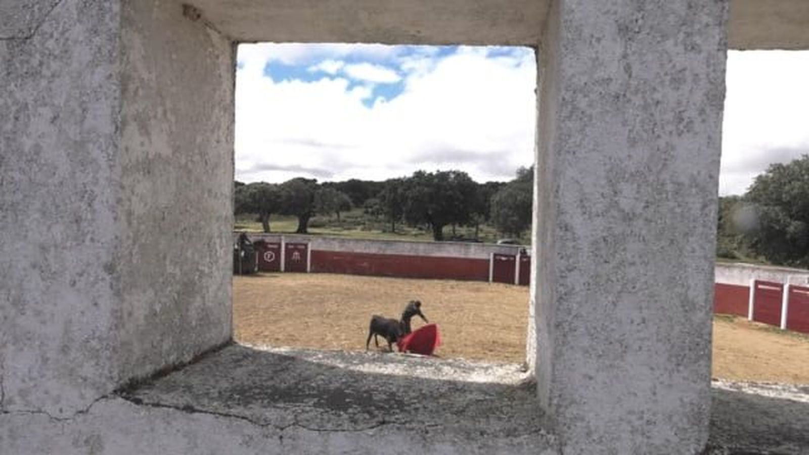 Asoc. Taurina de Guijuelo, fiesta 2019