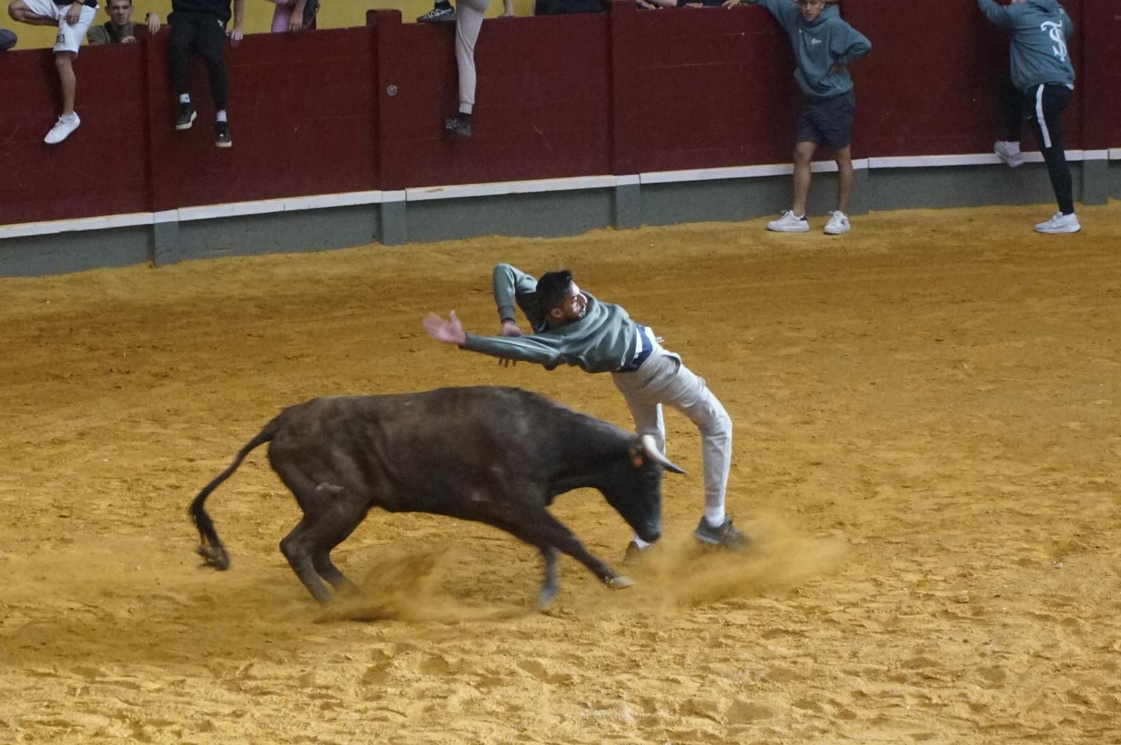 Encierro y capea en Alba de Tormes