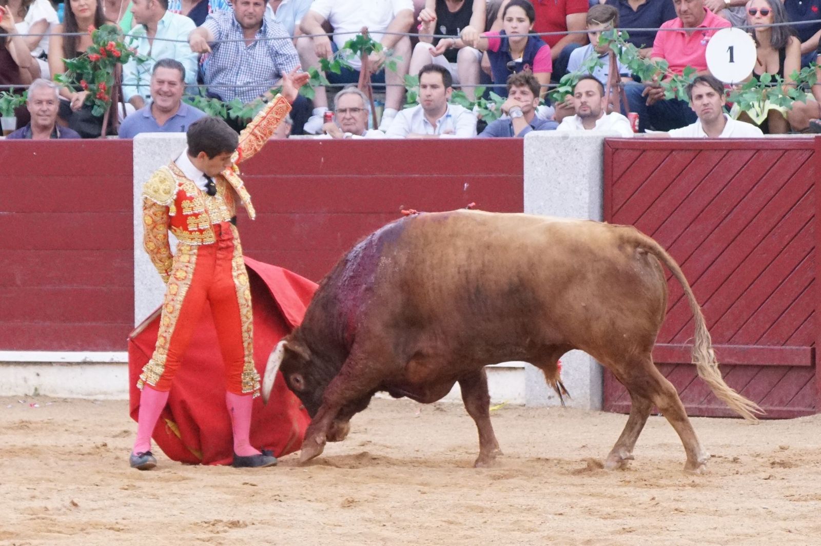 corrida-rejones-guijuelo-12