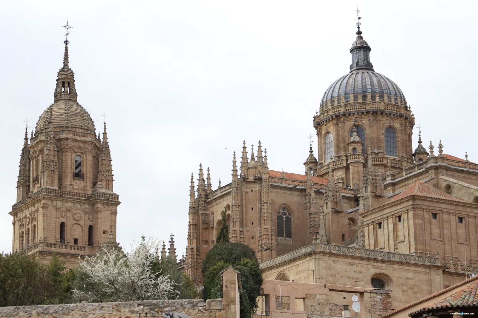 Catedral de Salamanca (3)