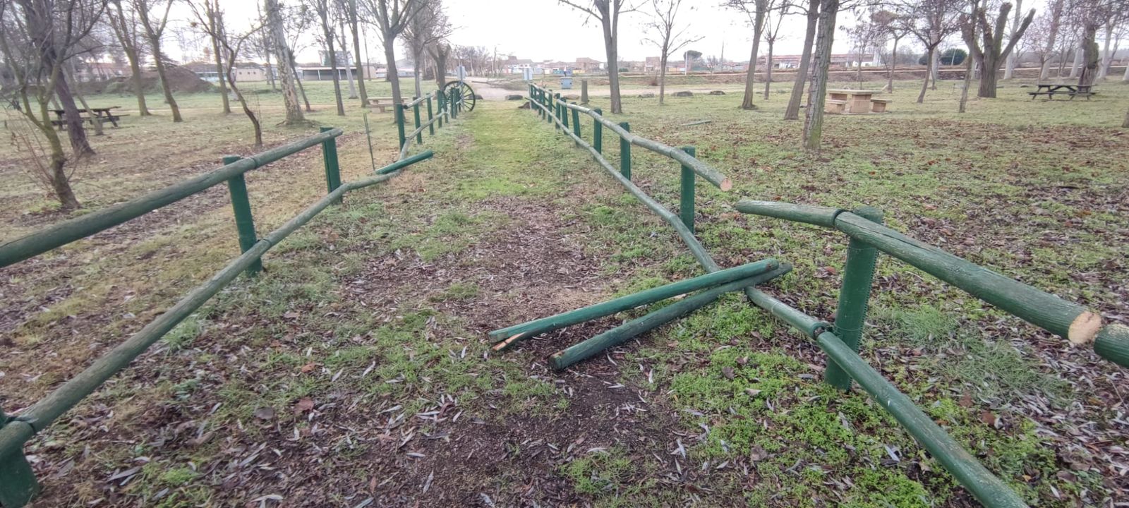 whatsapp-image-2024-01-04-at-13-16-46-2