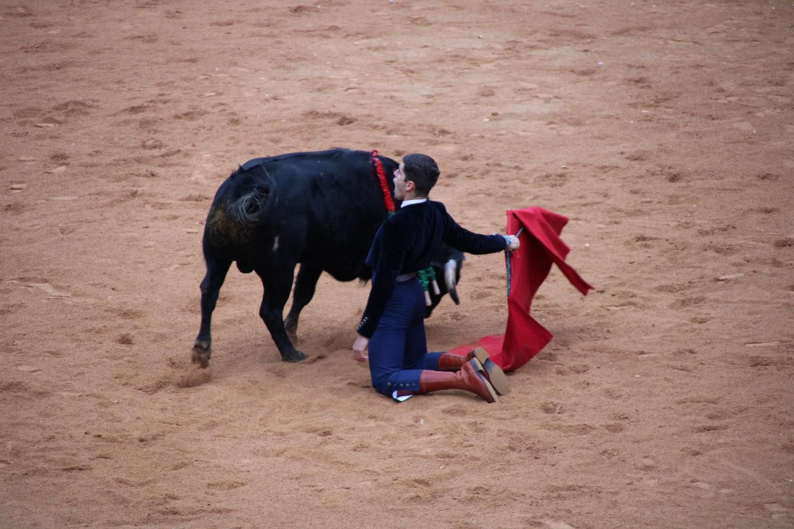 whatsapp-image-2025-03-02-at-18-55-24