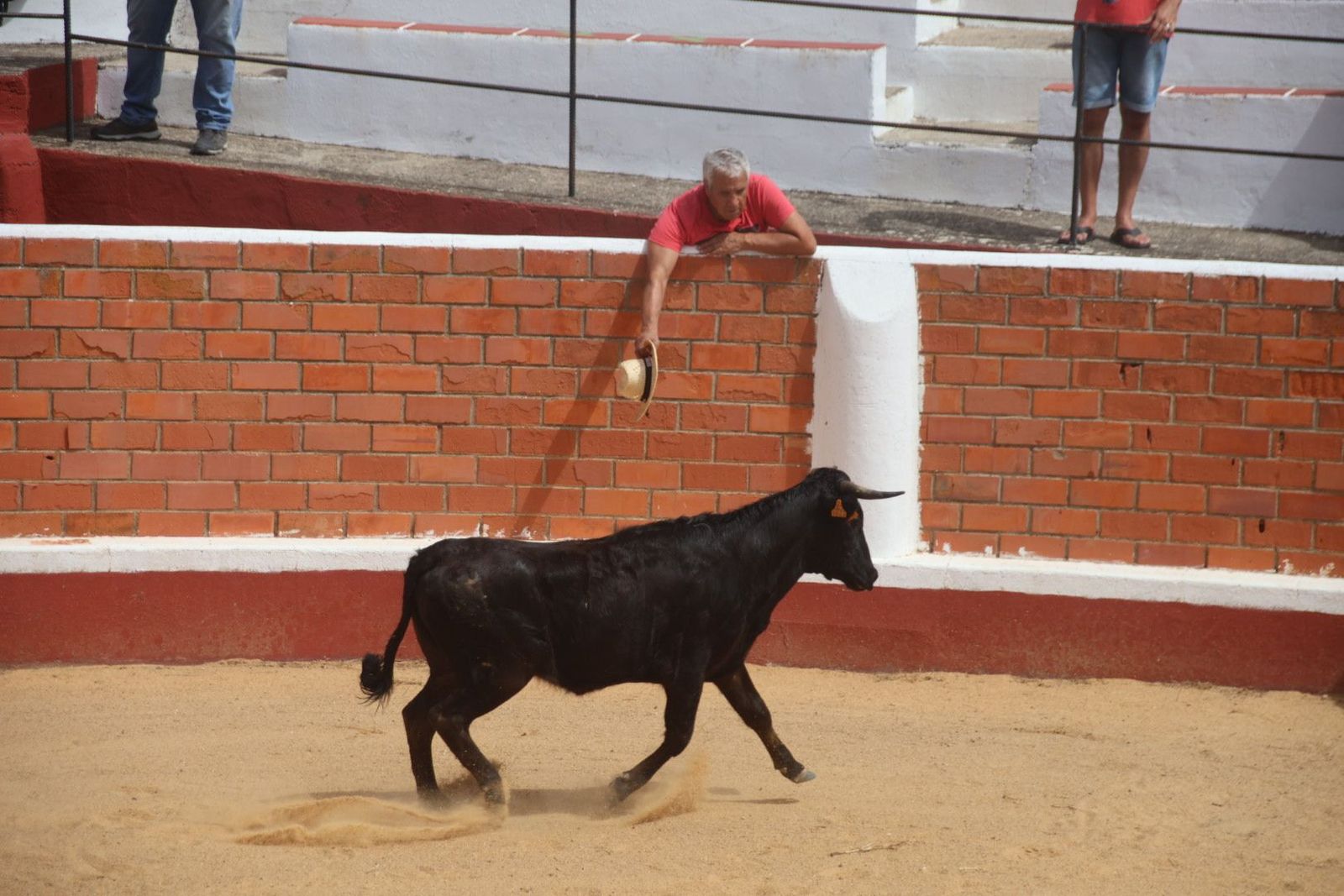 20230809115812-img-9598