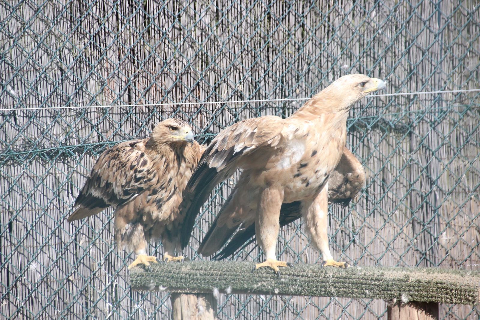 20230304151013-img-1640