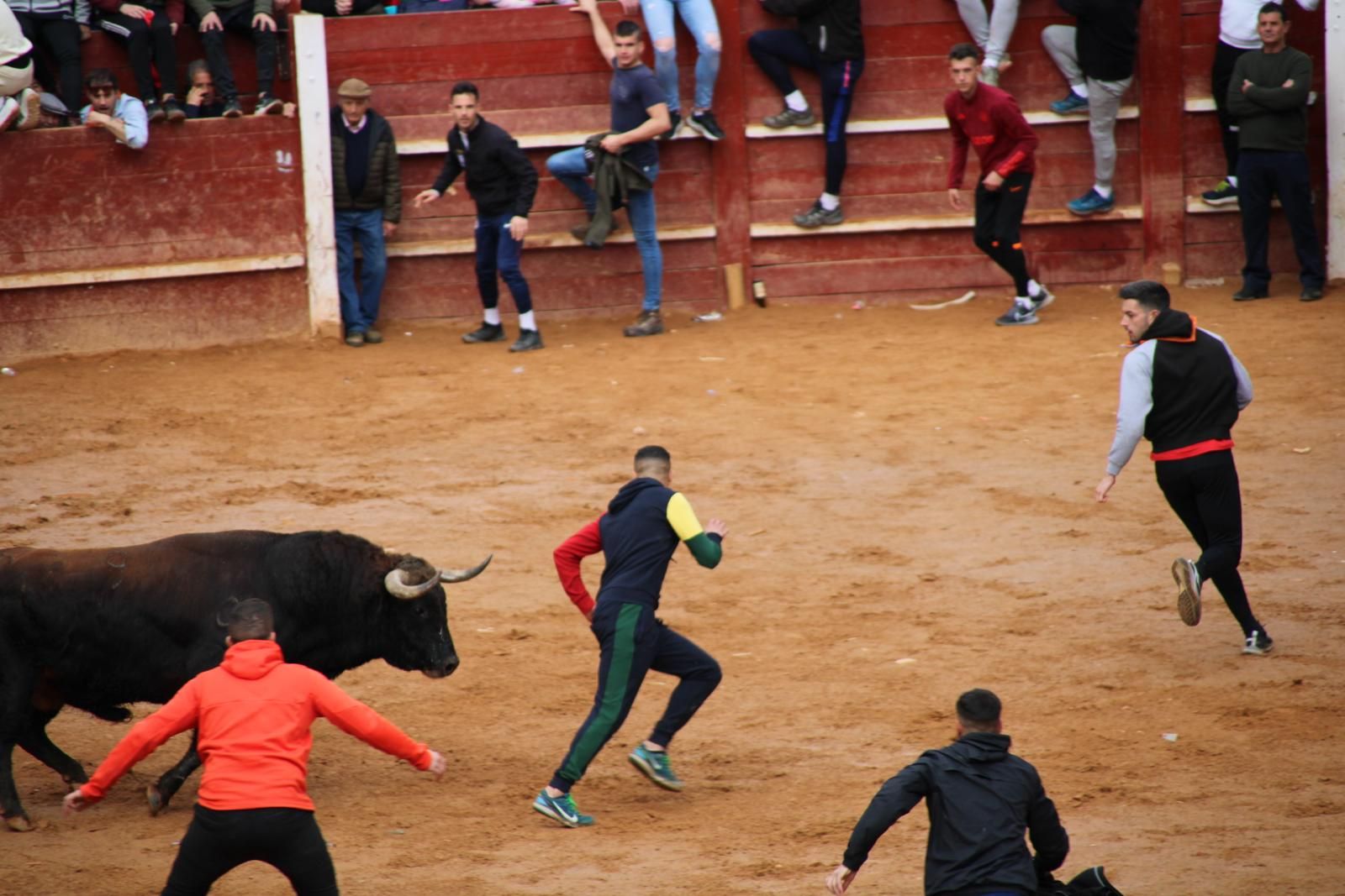 capea-matutina-del-martes-de-carnaval-12