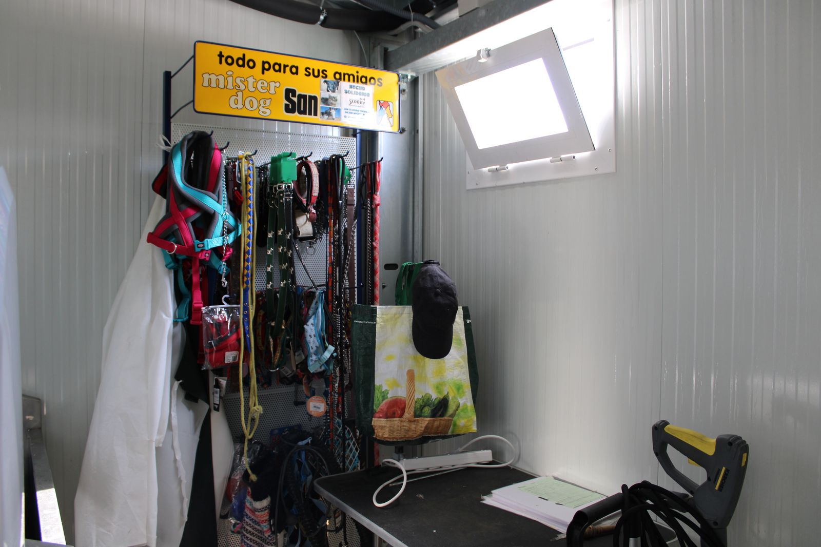 refugio-de-animales-del-ayuntamiento-de-salamanca-47