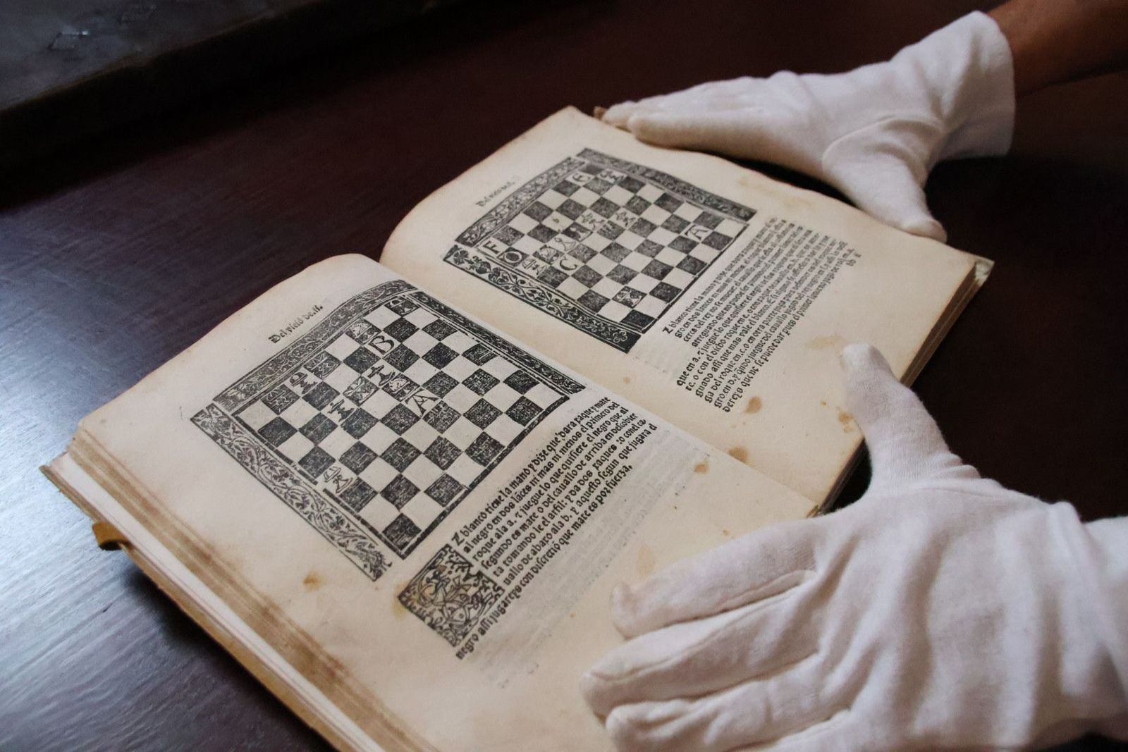 20231005112851-img-1345