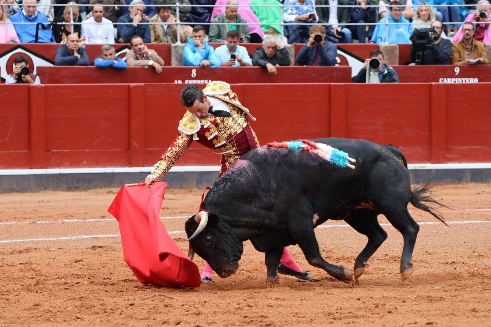 20230916173933-img-5323