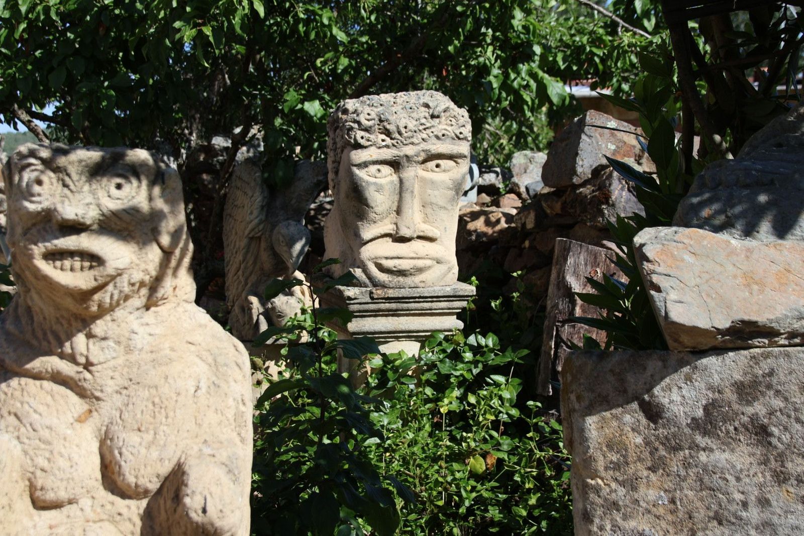 20230614092439-img-2654