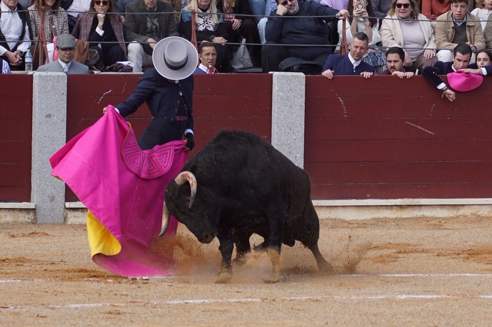 Festival taurino solidario por la esclerosis múltiple en Guijuelo