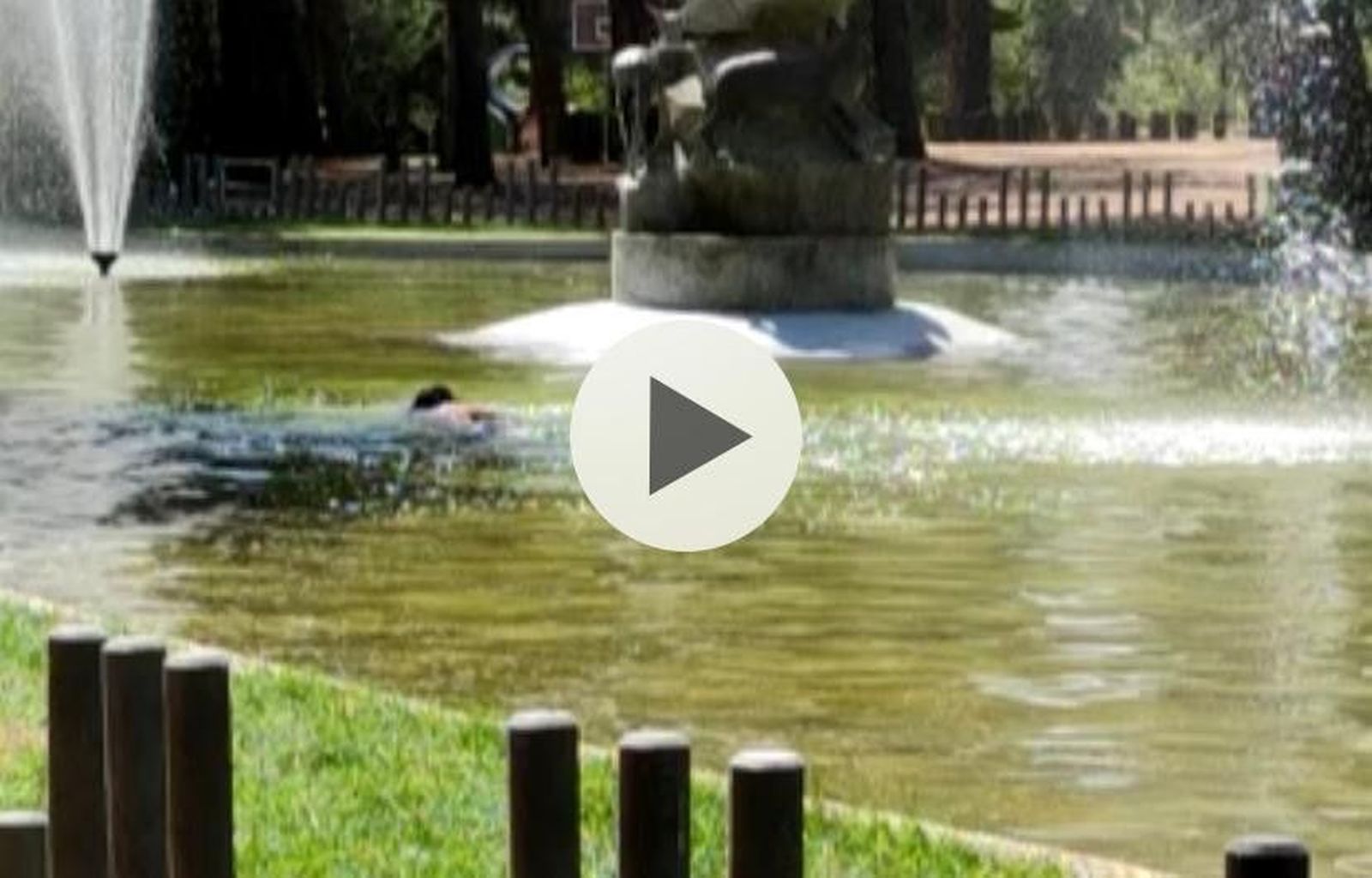 WhatsApp Image 2020 08 09 at 13.46.38