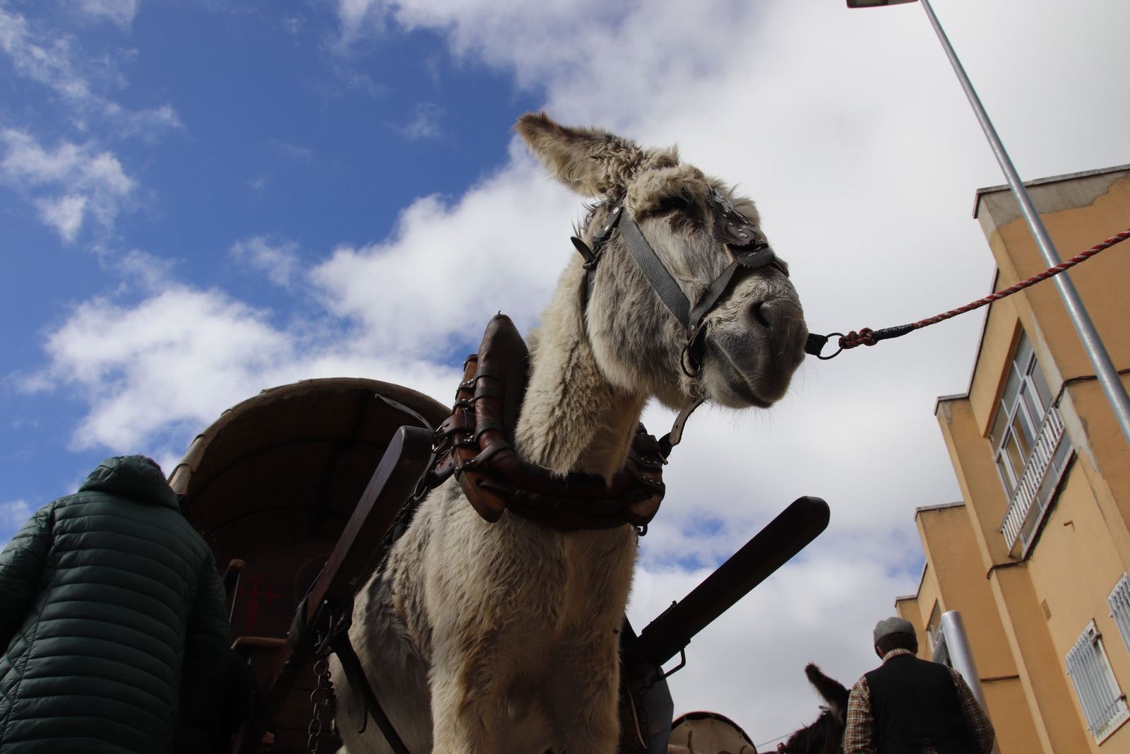 20220219130918-mg-8023