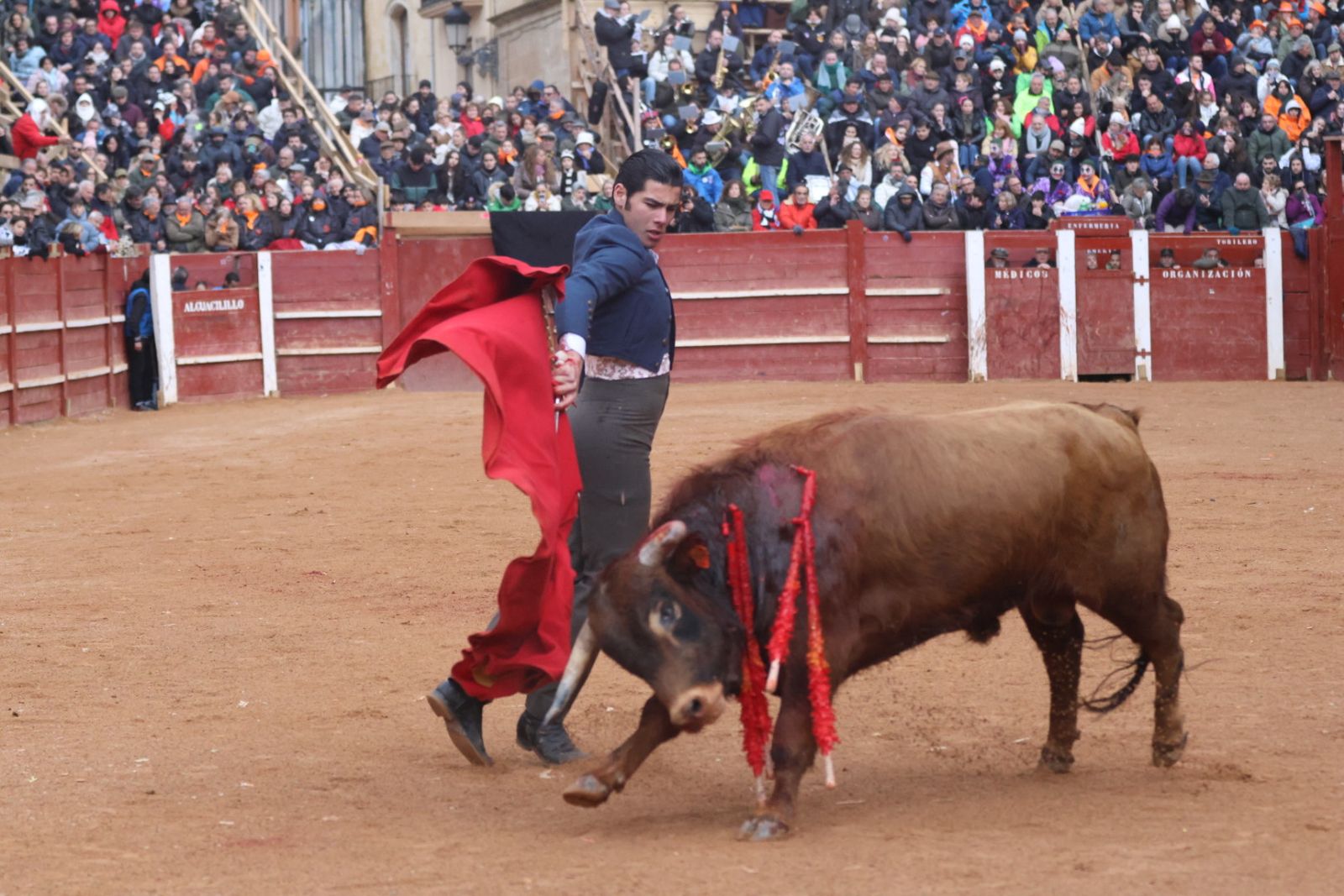 Novillada sin picadores del bolsín taurino y rejones en Ciudad Rodrigo
