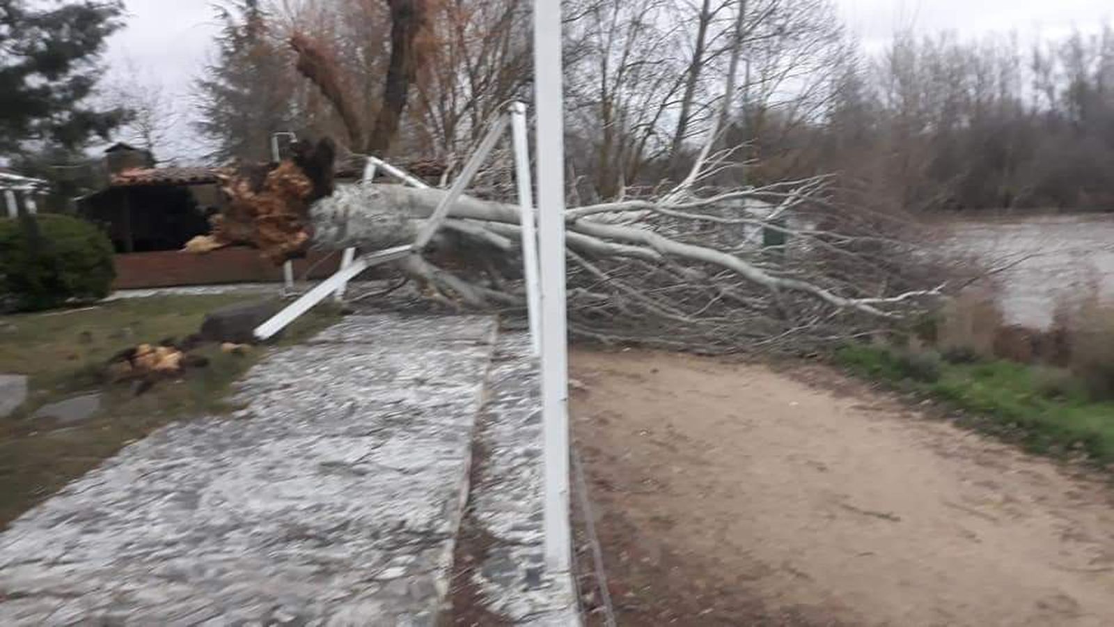 WhatsApp Image 2019 12 22 at 19.26.24