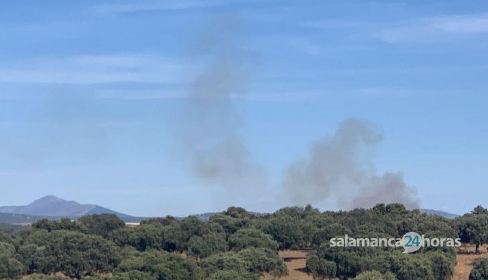 Incendio forestal en Zamarra