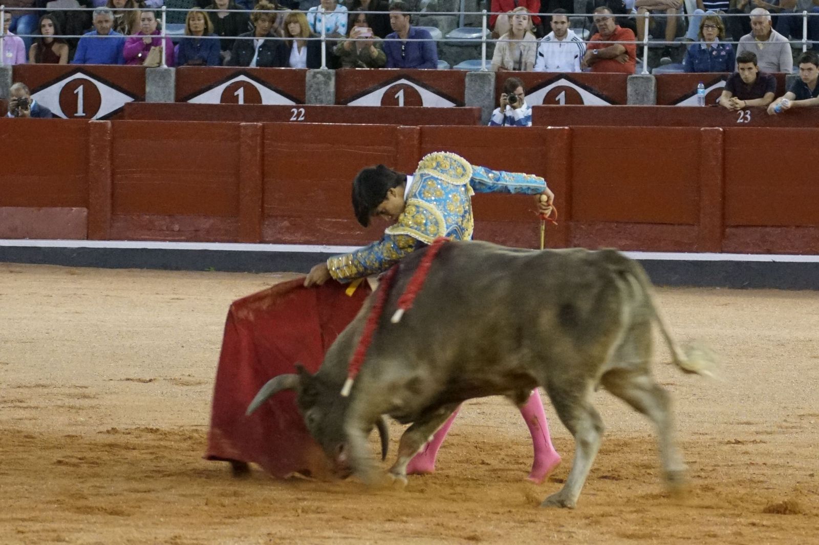 Clase práctica con alumnos de la Escuela de Tauromaquia de Salamanca (Diego Mateos, Noel García y Álvaro Rojo con erales de Esteban Isidro)