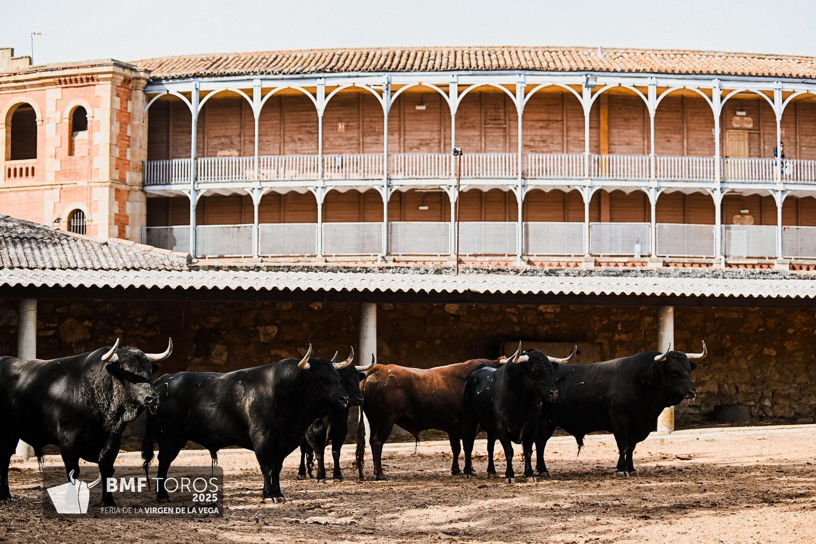 Sorteo de la corrida de Vellosino para Damián Castaño, Diego San Román e Ismael Martín en La Glorieta