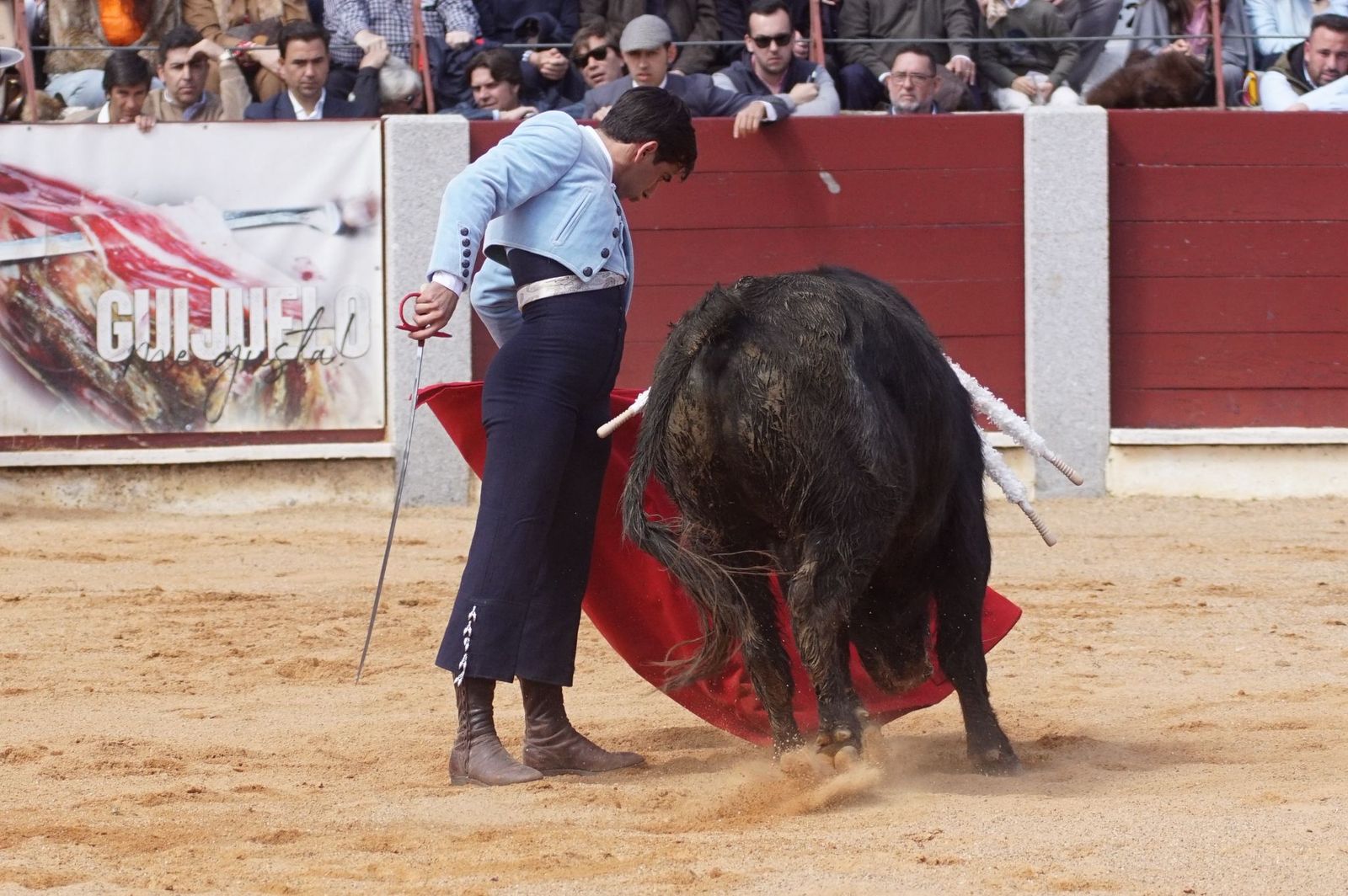 Festival taurino solidario por la esclerosis múltiple en Guijuelo