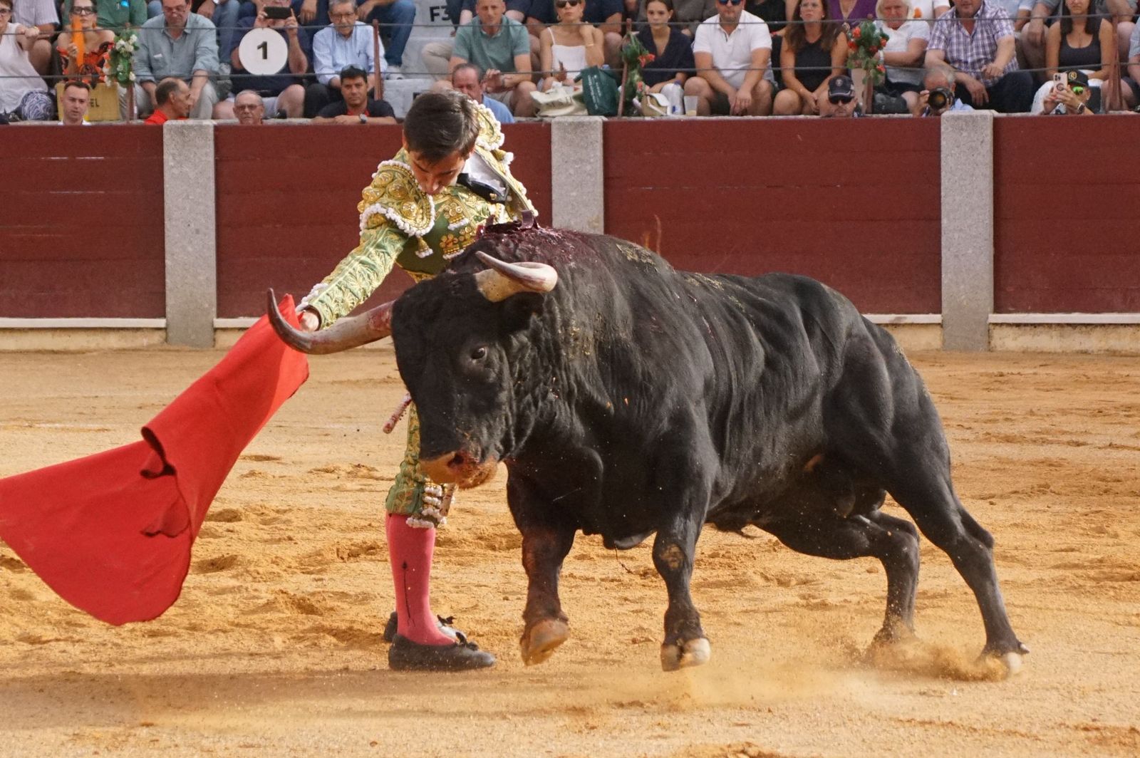 Javier Castaño se despide de Guijuelo y Damián Castaño, su hermano, e Ismael Martín salen a hombros en Guijuelo