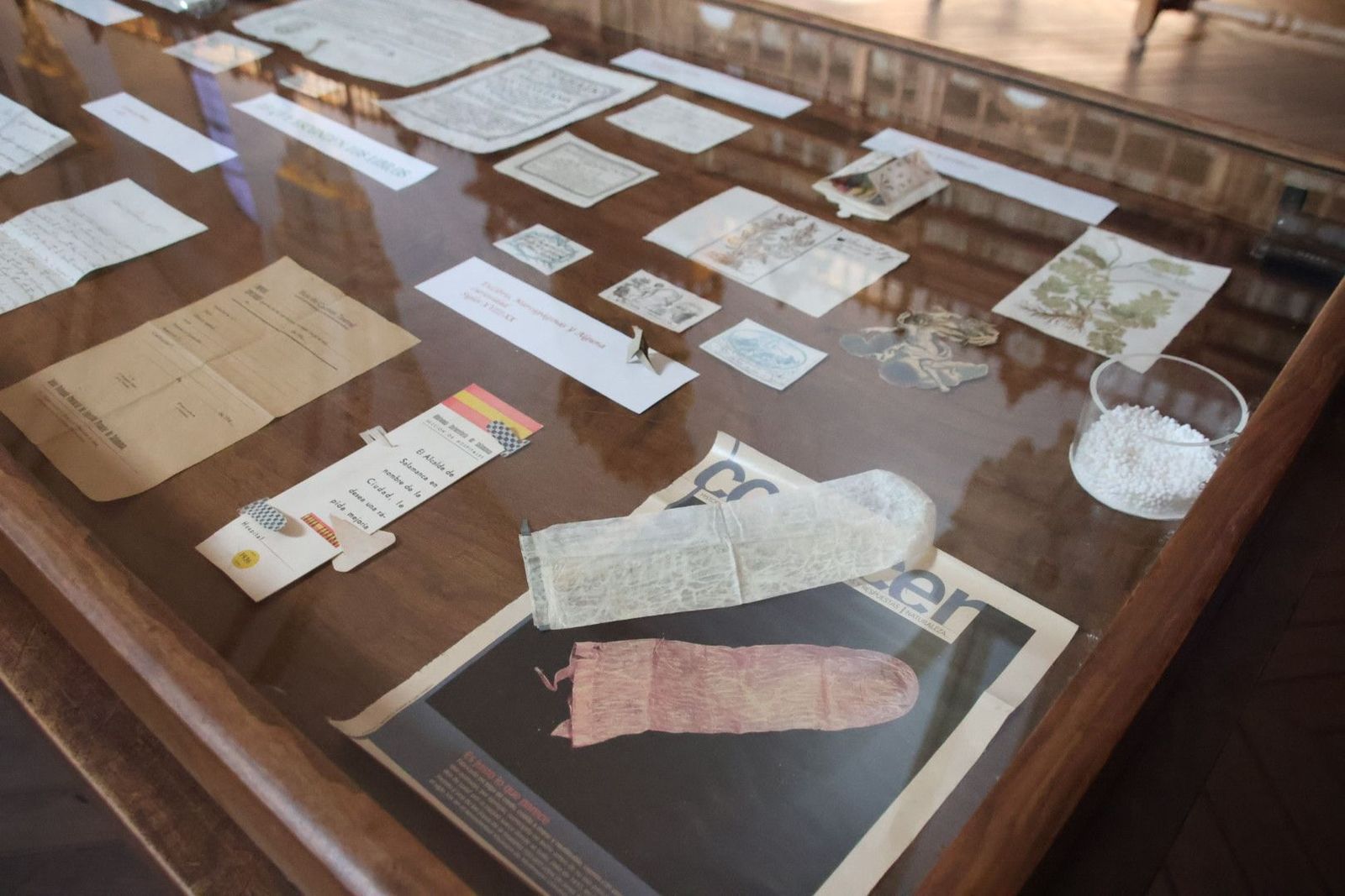 20231005103709-img-1248