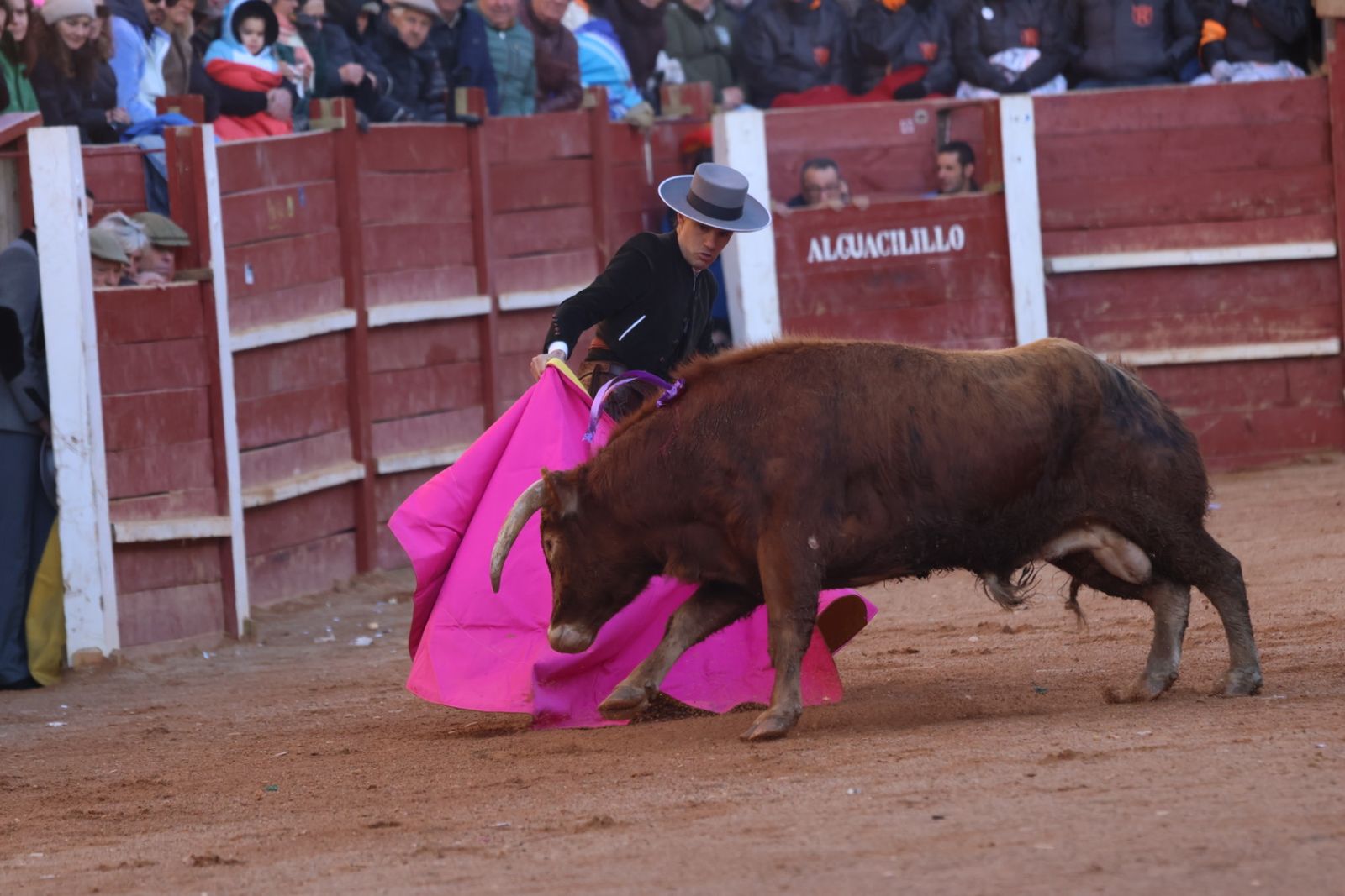 Festival taurino del Sábado en el Carnaval del Toro 2026 de Ciudad Rodrigo
