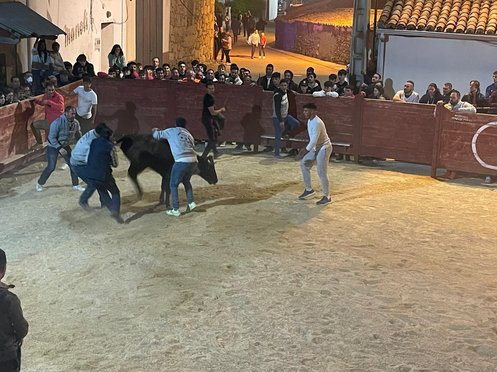 Suelta nocturna de vaquillas en Cabrillas (1)