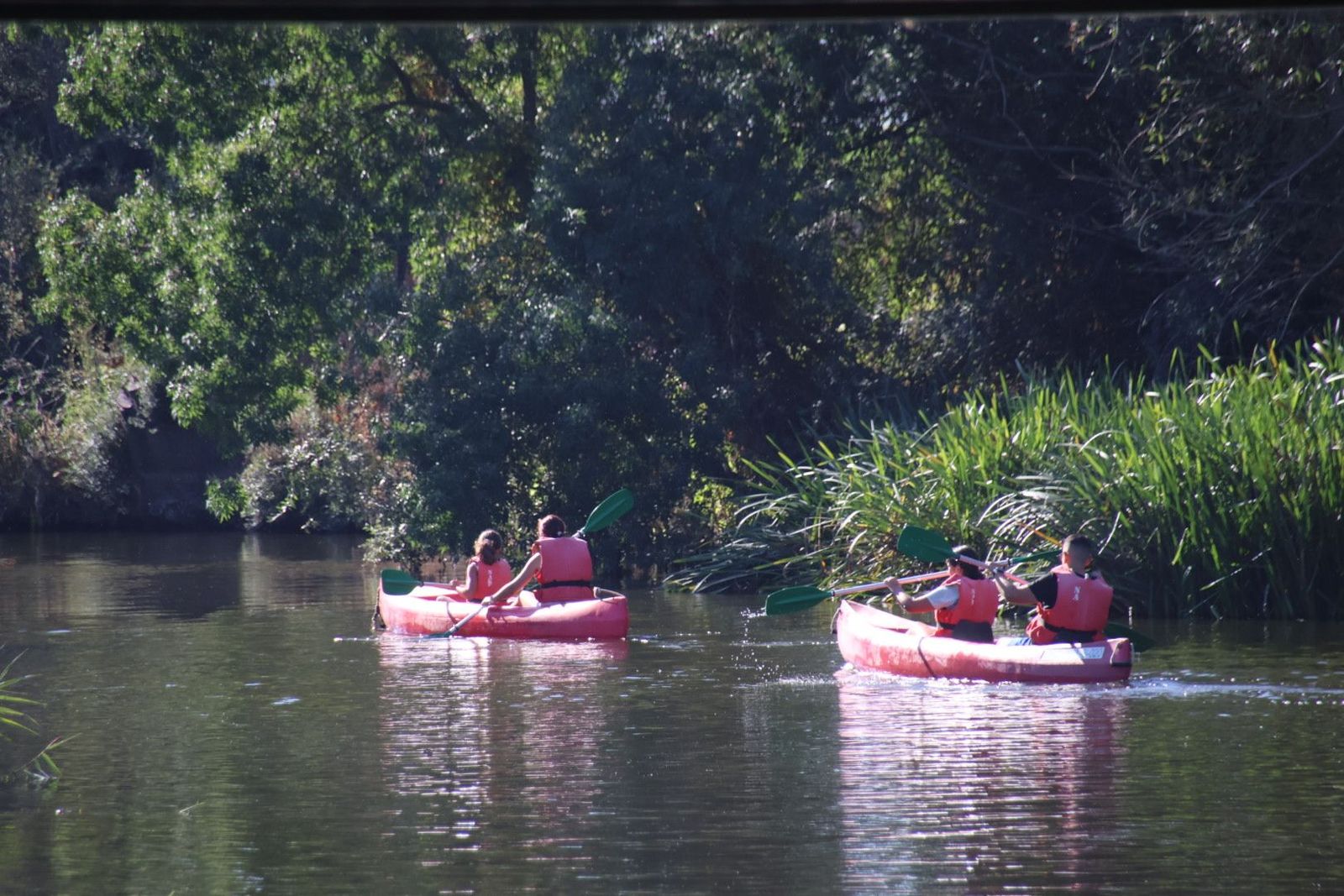 20230813092206-img-1340