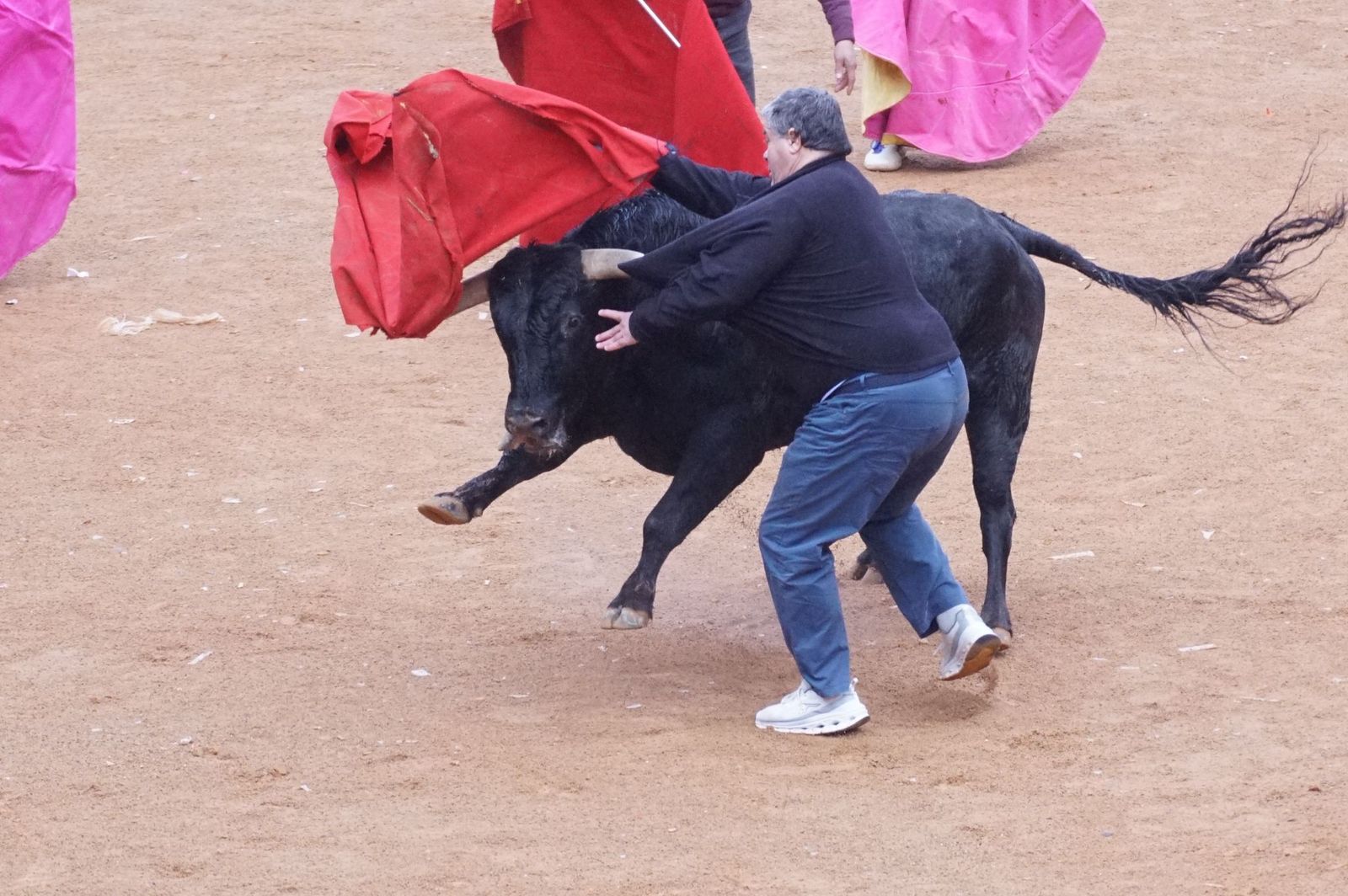 Capea matinal de domingo de carnaval en Ciudad Rodrigo (52).jpeg