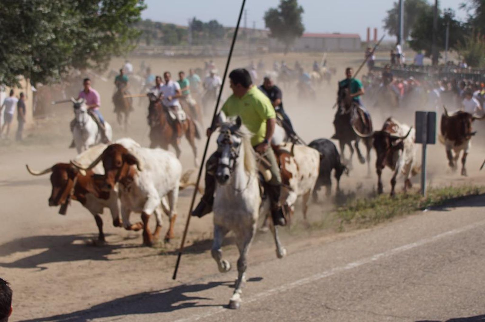 espantes-de-fuentesauco-46