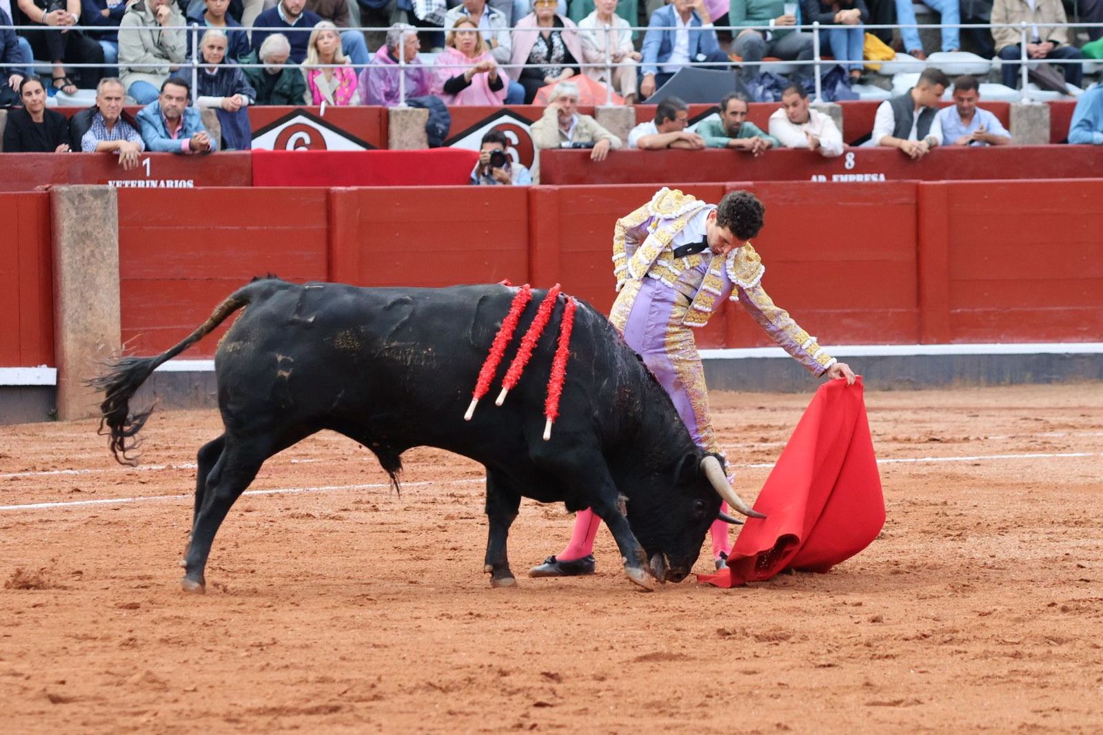 20230915183026-img-4142