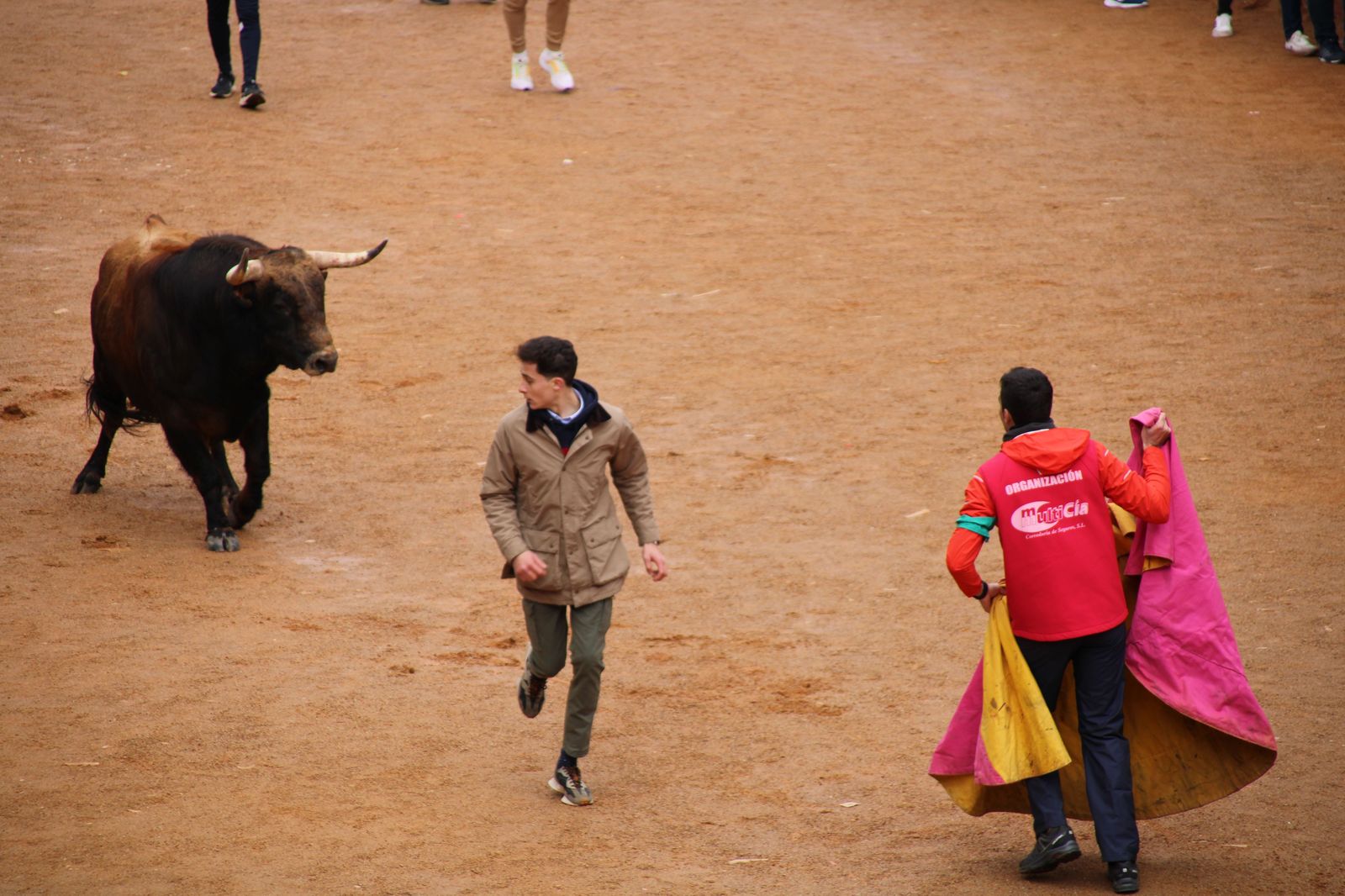 ambiente-durante-el-encierro-urbano-de-ciudad-rodrigo-sabado-10-de-febrero-fotos-s24h-87